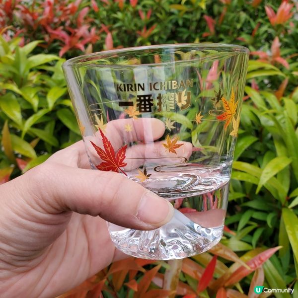 麒麟一番搾秋日和楓禮品套裝😍  靚到爆！