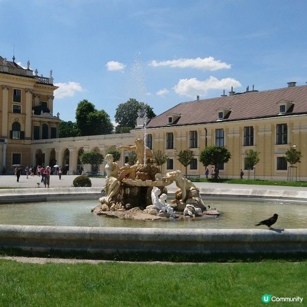 東歐旅遊🥳參觀維也納著名地標熊布朗宮宮殿😍風景勁靚花園勁