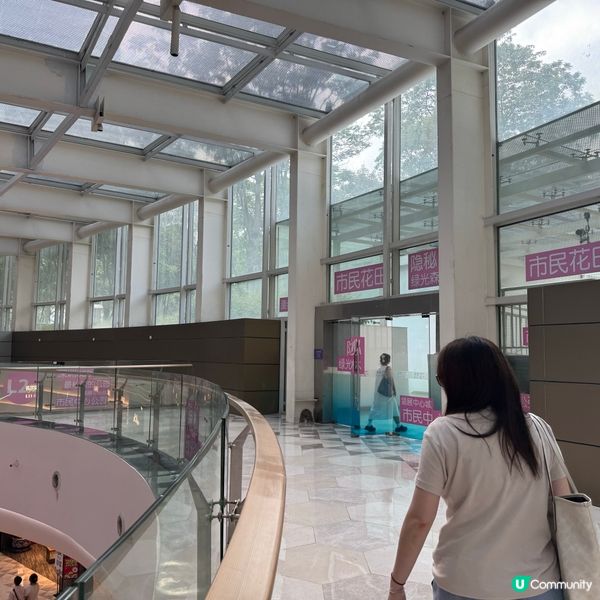 深圳福田免費向日葵花海🌻爆開啦！🤩