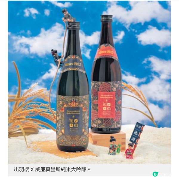 city'super清酒祭再度回歸「小鮮肉」生酒在舌尖上起舞