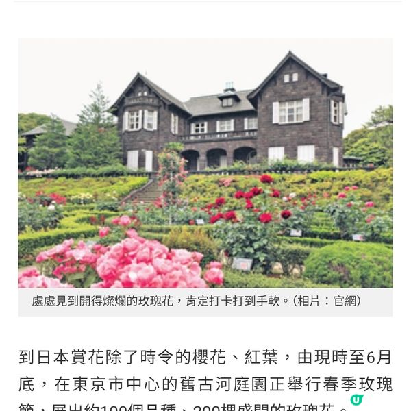 東京玫瑰節 舊古河庭園賞絢爛花卉