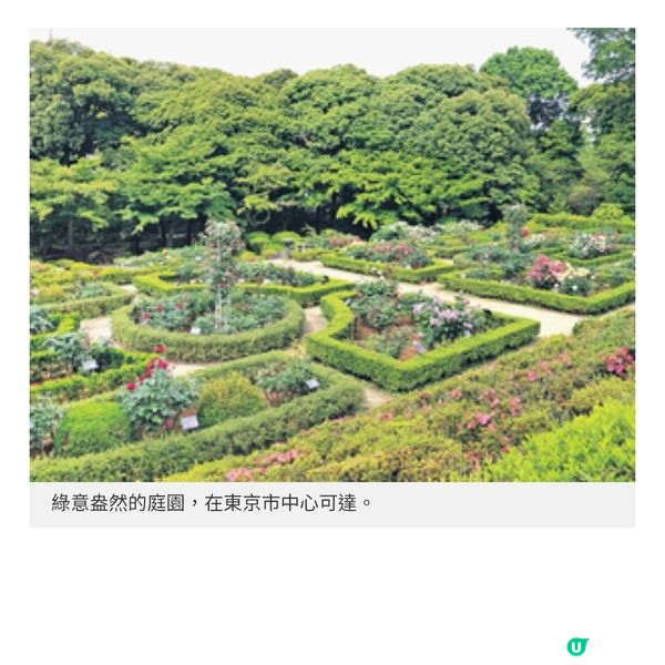 東京玫瑰節 舊古河庭園賞絢爛花卉
