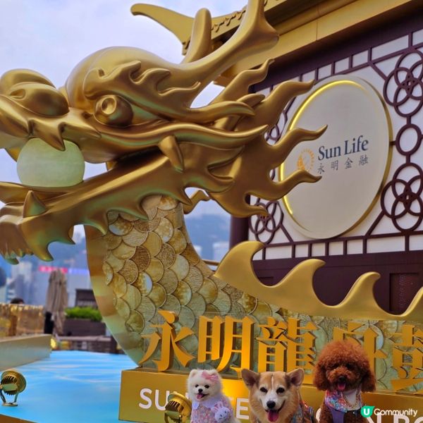 🐉  端午龍舟  🔥  香港海濱