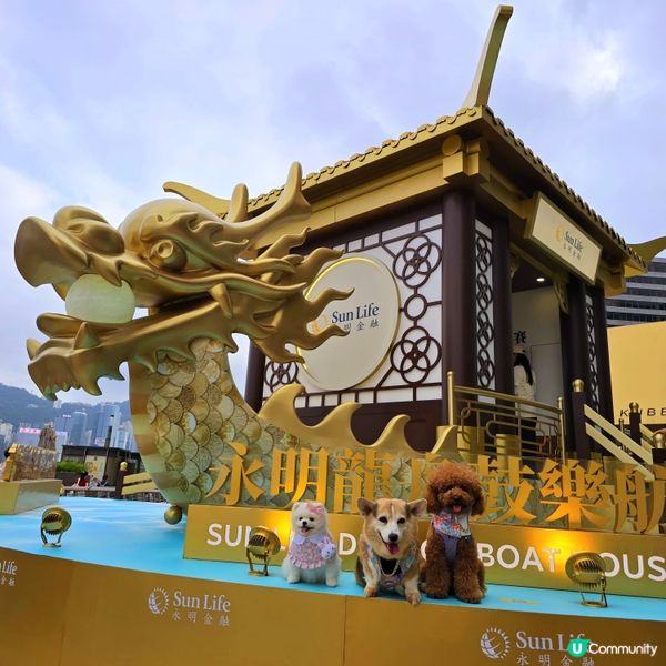 🐉  端午龍舟  🔥  香港海濱