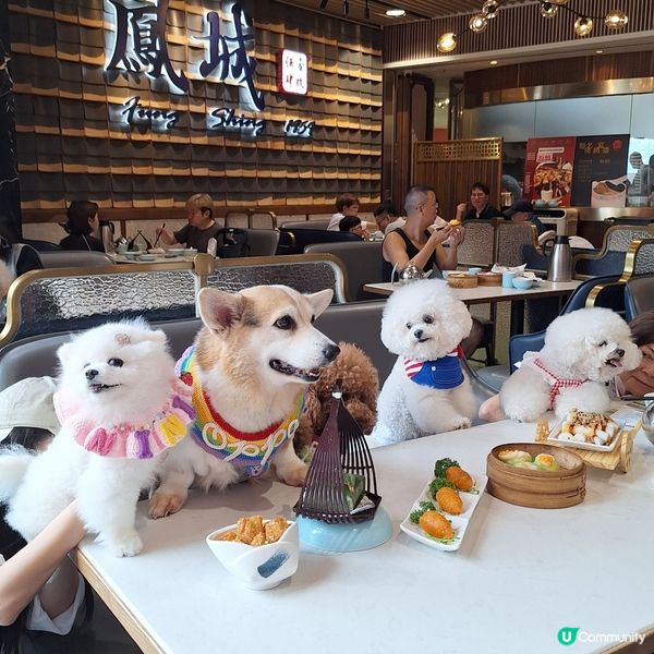 飲茶點心大滿足😋