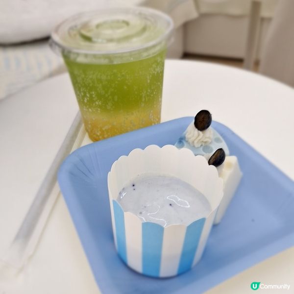 🐶🐱荔枝角寵物樂園開張啦！🎉