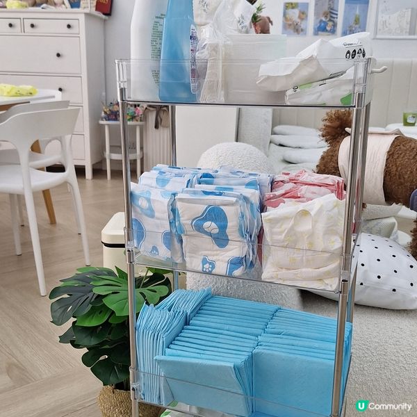 🐶🐱荔枝角寵物樂園開張啦！🎉