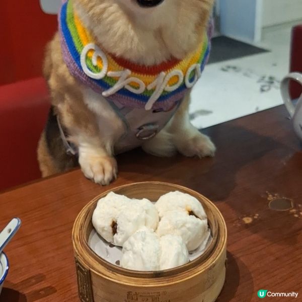 ## 媽咪愛上點天下🤤 ## 點心控必試😋