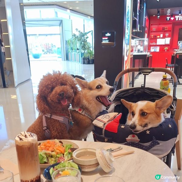 🍣 盲盒開箱！全系列壽司塔可 🤤