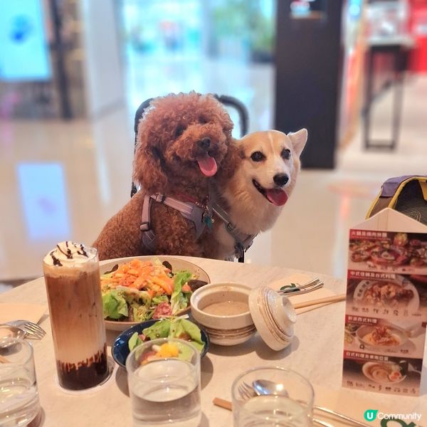 🍣 盲盒開箱！全系列壽司塔可 🤤