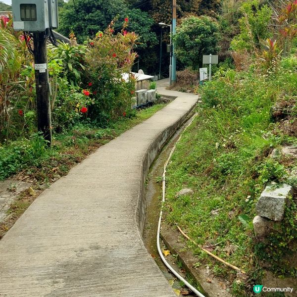 西貢一日遊，墨魚夜釣！🦑☀️