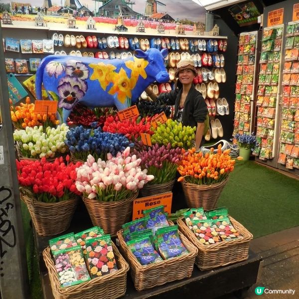 荷蘭阿姆斯特丹市中心隨拍