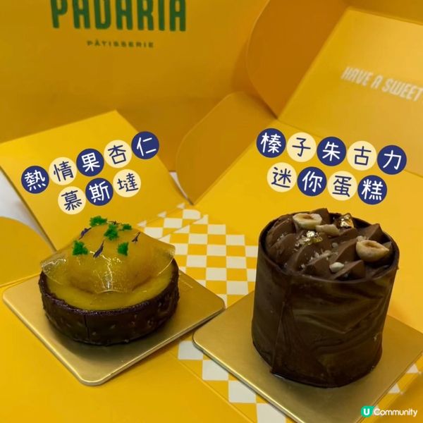 又一城新店登場🤩 