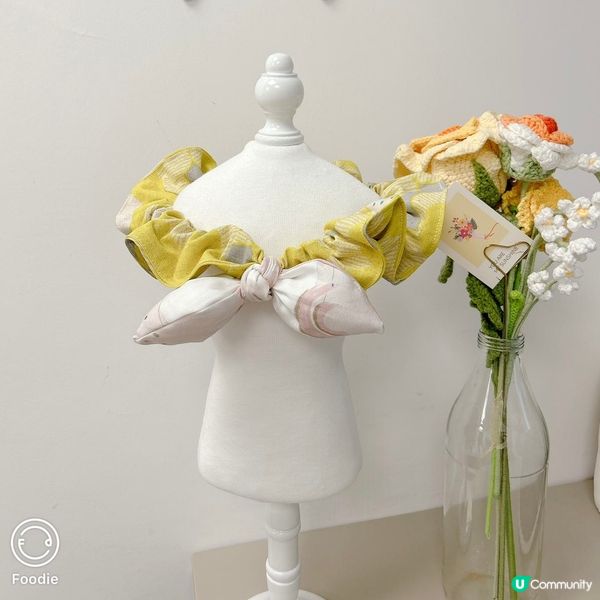 🎨【寵物圍巾工作坊】為毛孩打造獨一無二的溫暖時尚!🐾