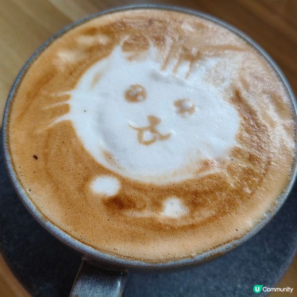 屯門貓奴必去！🐱《啡面喵》新開張！