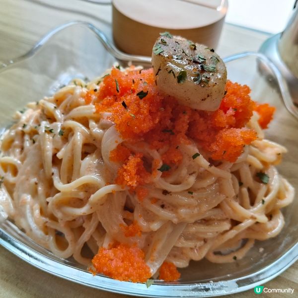 屯門貓奴必去！🐱《啡面喵》新開張！