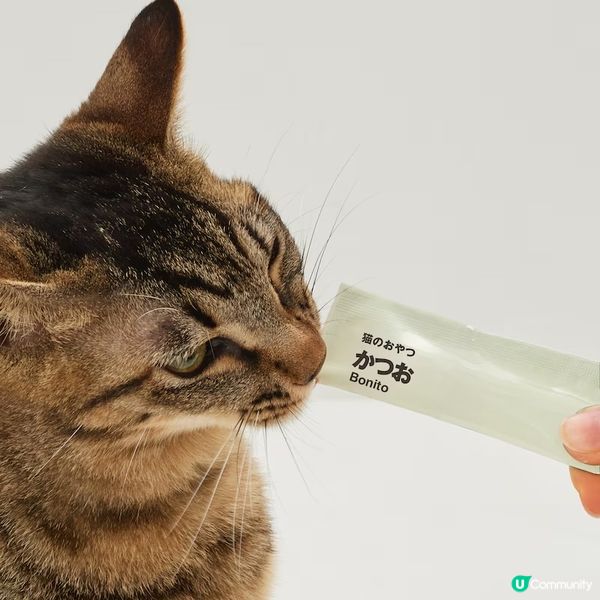 貓奴注意⚠️日本MUJI限定🐱無添加貓條