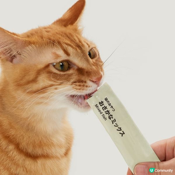 貓奴注意⚠️日本MUJI限定🐱無添加貓條
