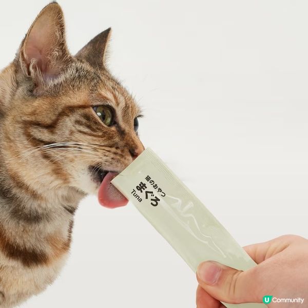 貓奴注意⚠️日本MUJI限定🐱無添加貓條