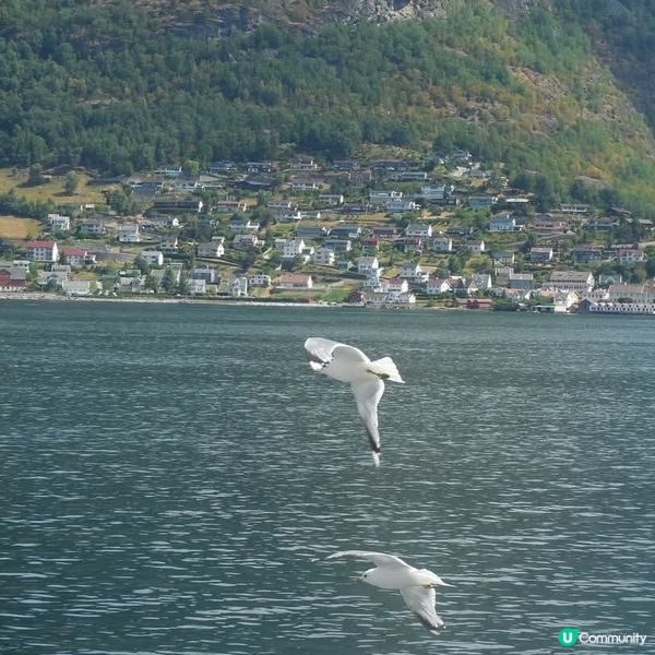 挪威的縮影Norway in a nutshell