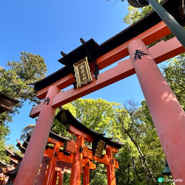 日本阪京戶遊 - 伏見稻荷大社和服👘篇