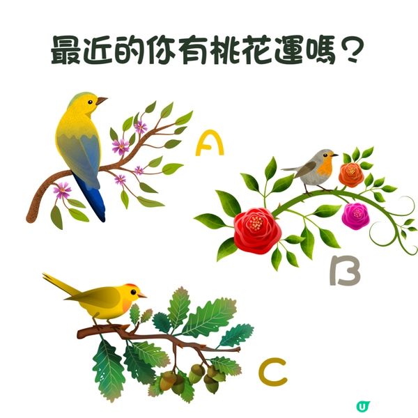 最近的你有桃花運嗎？