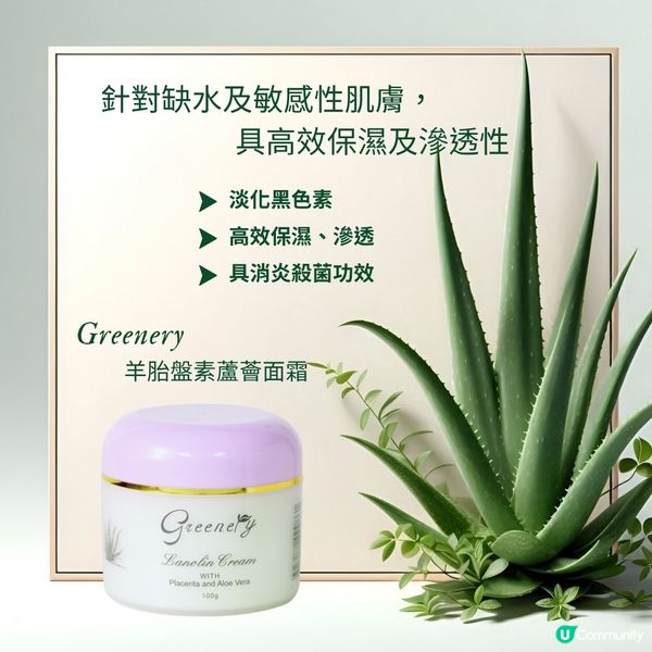 夏日肌膚救星 ☀️  蘆薈羊胎盤素面霜