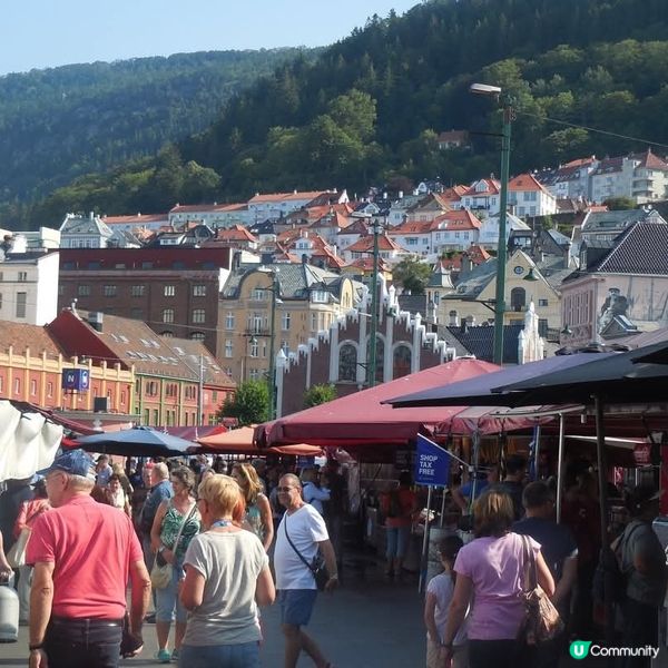挪威峽灣觀光城鎮:Bergen🤗