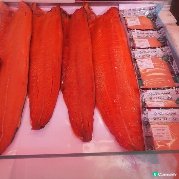 挪威峽灣觀光城鎮:Bergen🤗