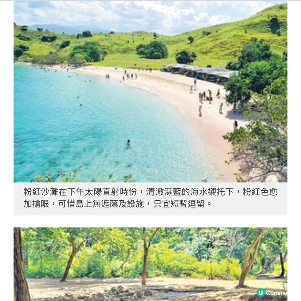 直擊印尼Labuan Bajo海島風光訪粉紅沙灘尋科莫多巨蜥
