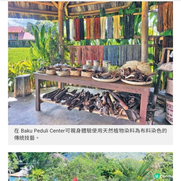 直擊印尼Labuan Bajo海島風光訪粉紅沙灘尋科莫多巨蜥