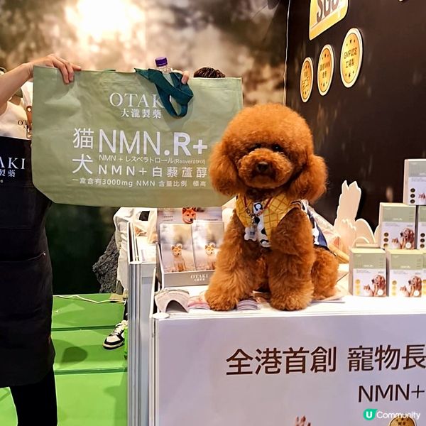 🐶 優質寵物用品展2025，仲有2日！🎉