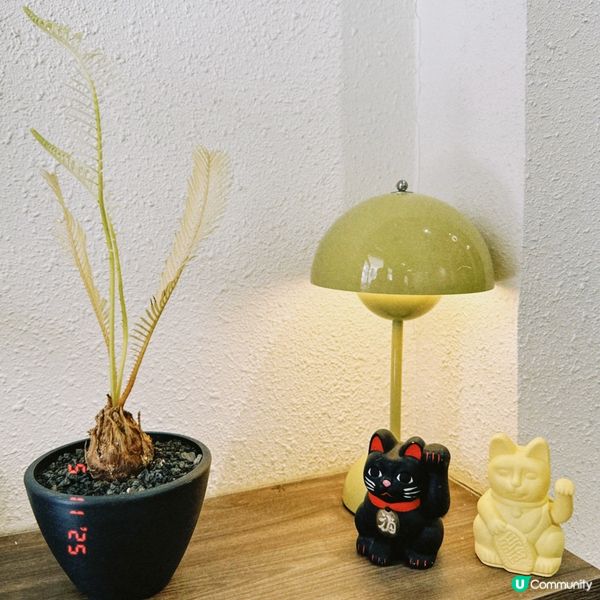 甜品好好食🥹九龍城YOI Coffee & Bakery ☕...