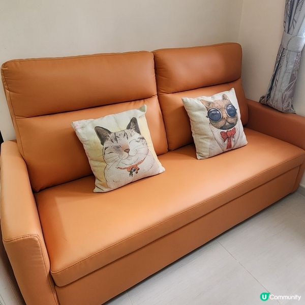 👻主子專用🛋️  買到耐用貓沙發⁉️ 🙀