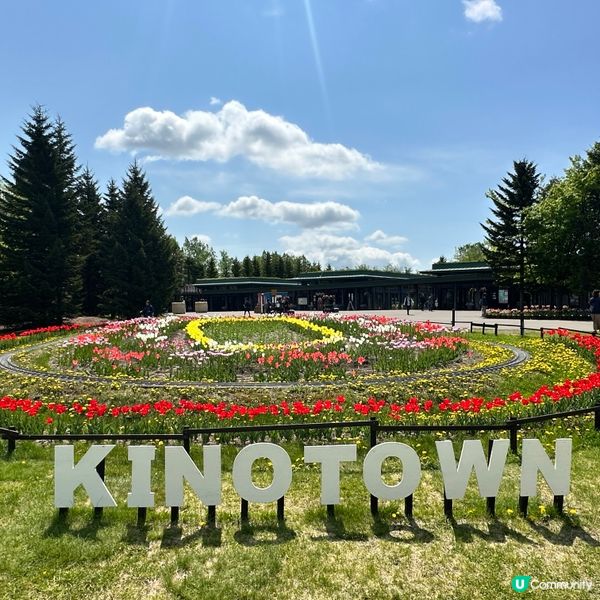 5月尾前往北海道唯一國營公園 國營瀧野鈴蘭丘陵公園,由札幌市...