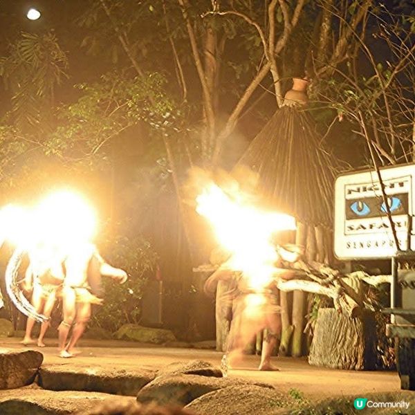 夜間精彩絕倫的探險👉Night Safari