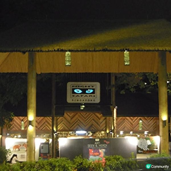 夜間精彩絕倫的探險👉Night Safari