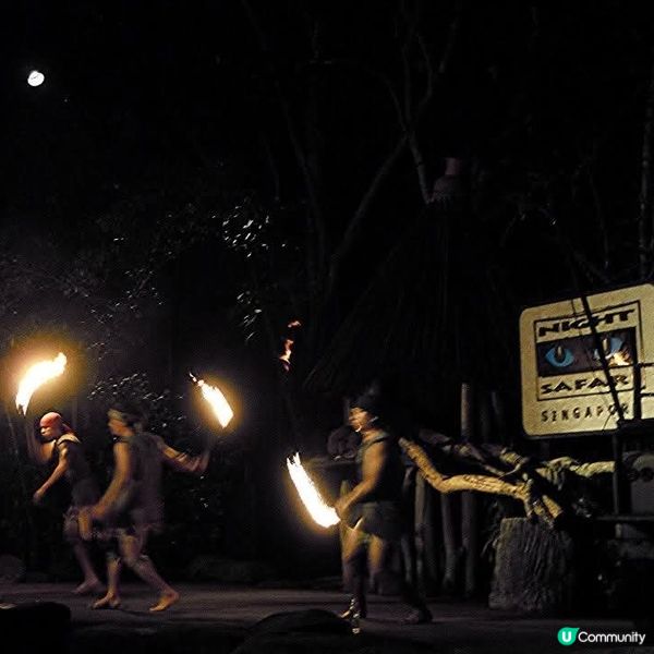 夜間精彩絕倫的探險👉Night Safari