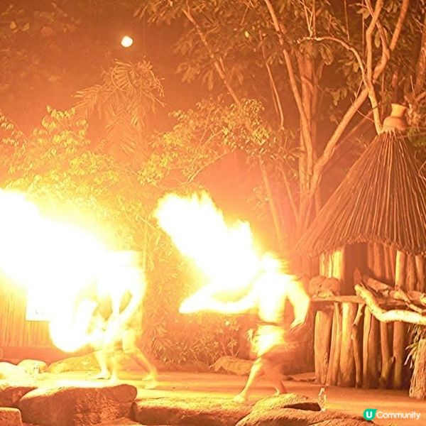 夜間精彩絕倫的探險👉Night Safari