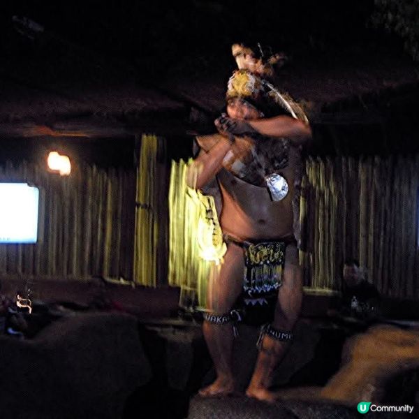 夜間精彩絕倫的探險👉Night Safari