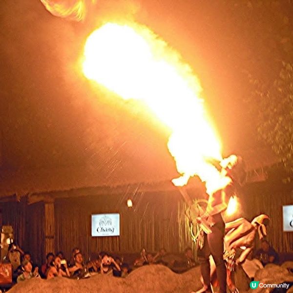 夜間精彩絕倫的探險👉Night Safari