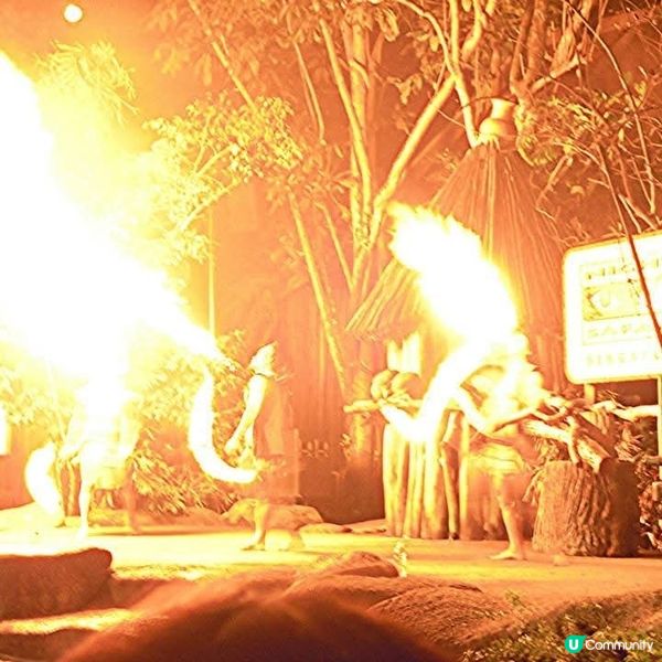 夜間精彩絕倫的探險👉Night Safari