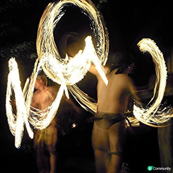 夜間精彩絕倫的探險👉Night Safari