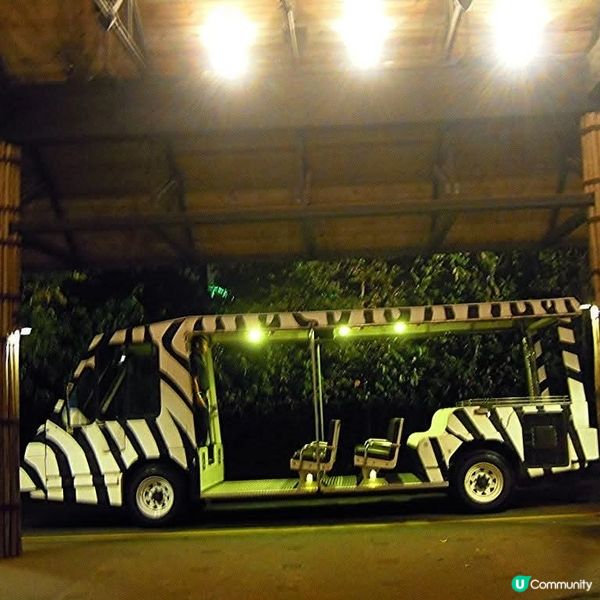 夜間精彩絕倫的探險👉Night Safari