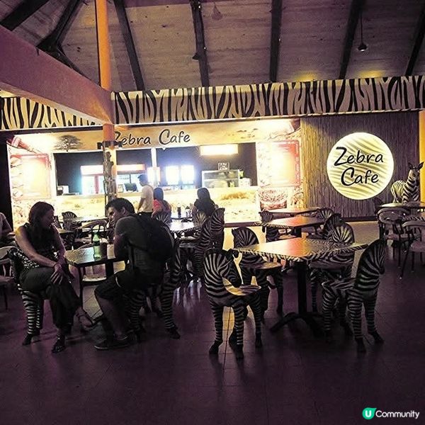 夜間精彩絕倫的探險👉Night Safari