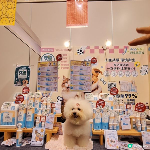 業餘豁免犬種賽2025 