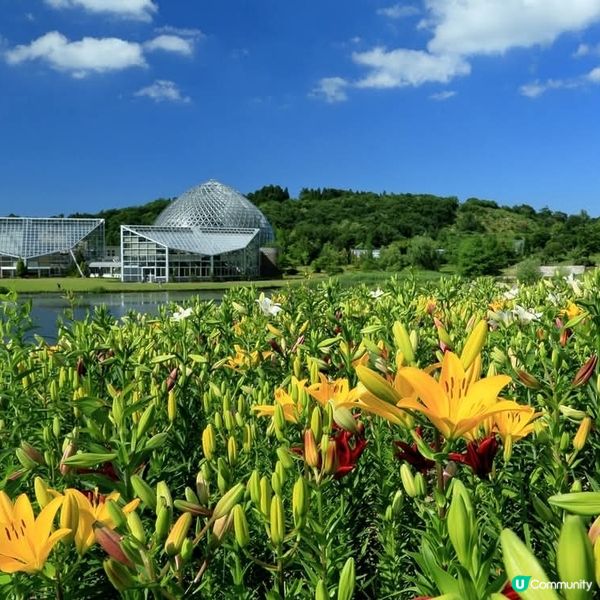 新潟植物園，親子遊好去處 🌸🌿