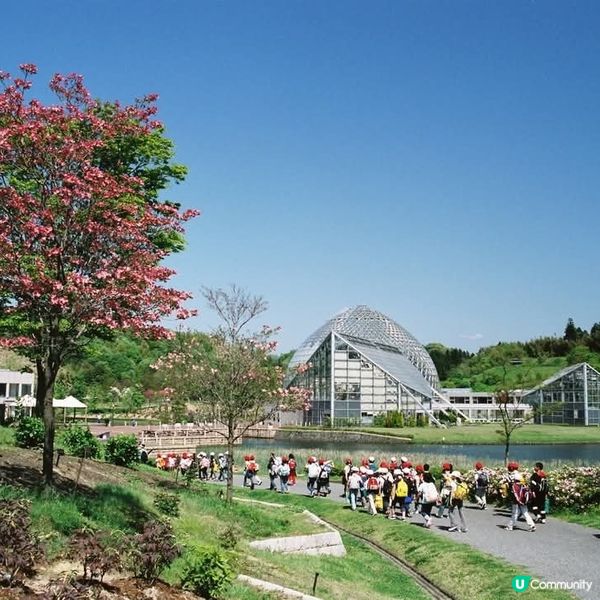 新潟植物園，親子遊好去處 🌸🌿