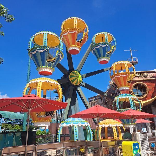 六月生日免費睇大熊貓🥳