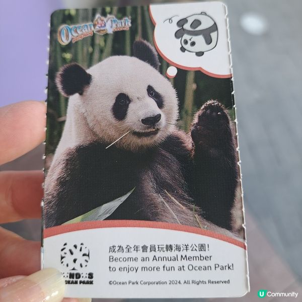 六月生日免費睇大熊貓🥳